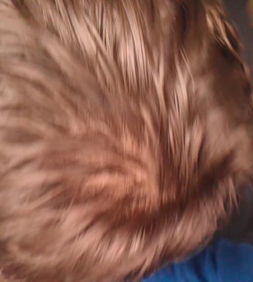 index.php/fa/10577/0/