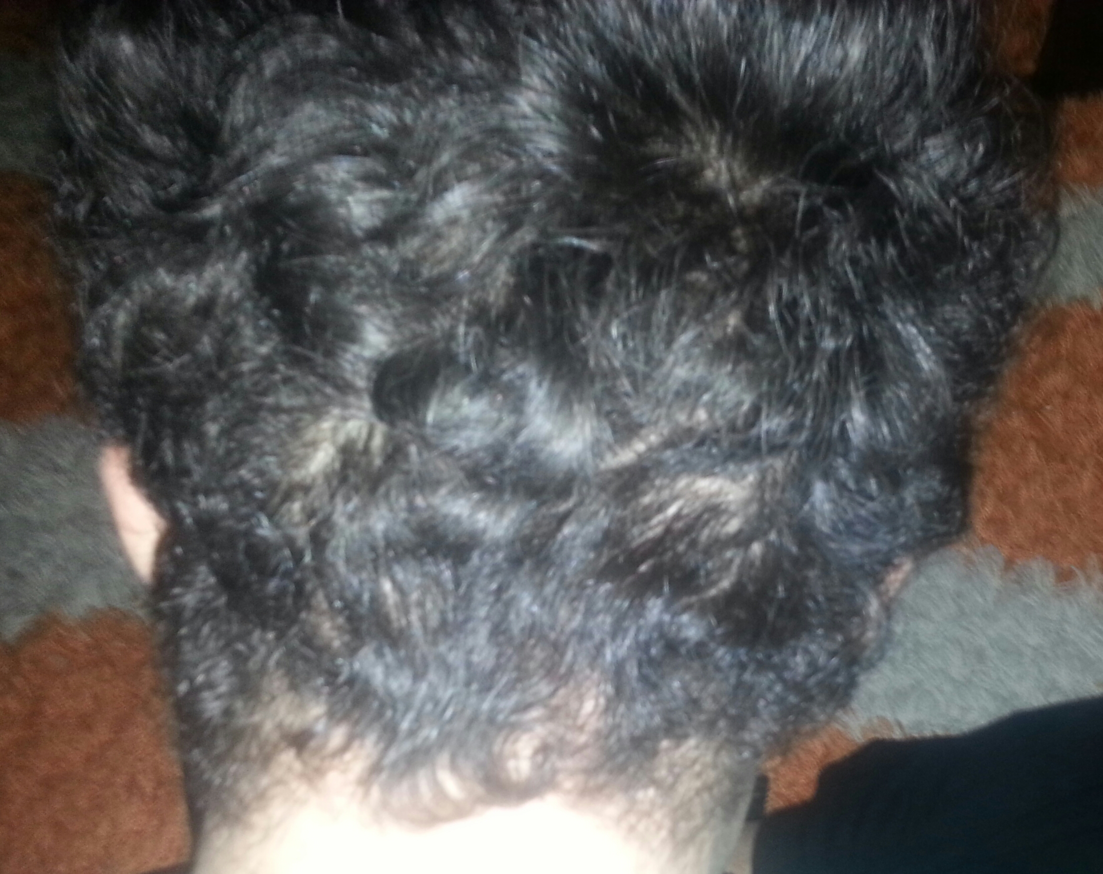 index.php/fa/10948/0/