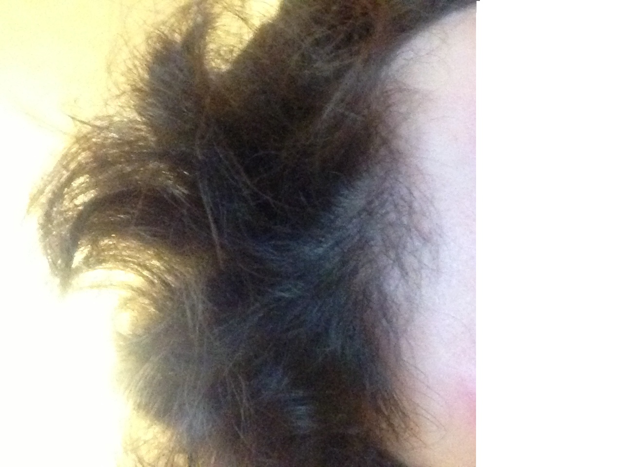 index.php/fa/11047/0/