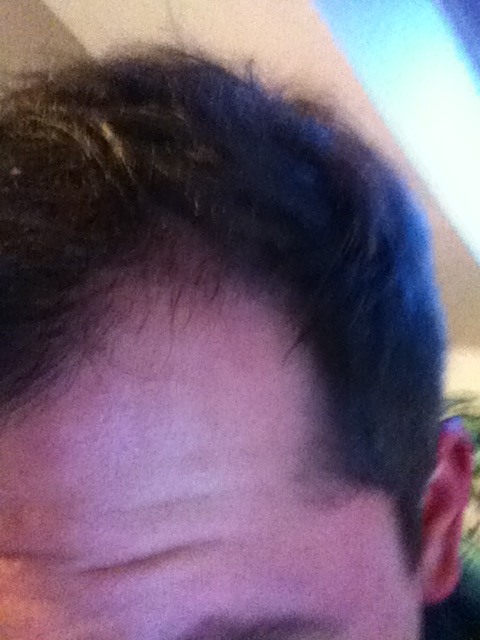 index.php/fa/11202/0/