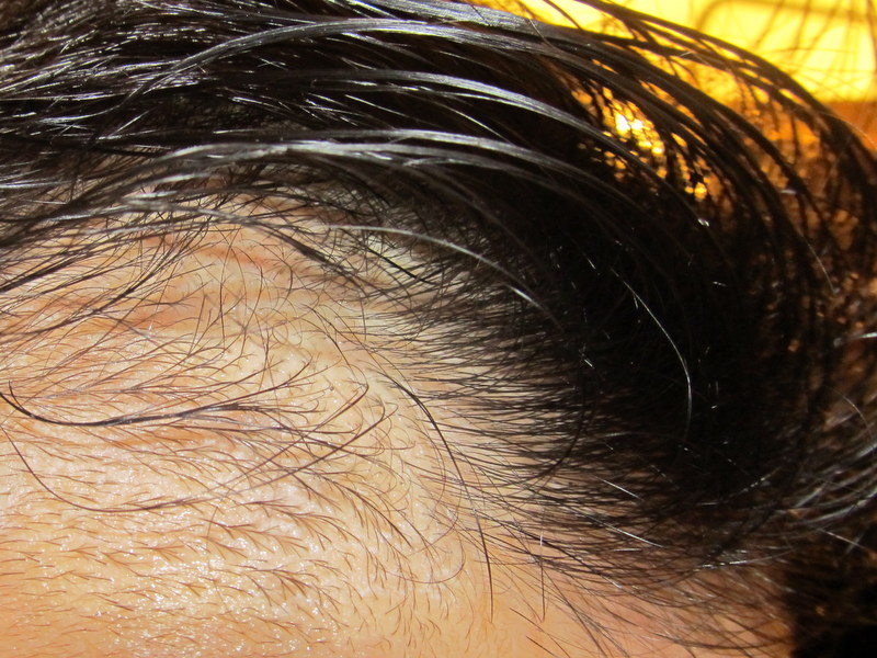 index.php/fa/11539/0/