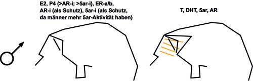 index.php/fa/11541/0/