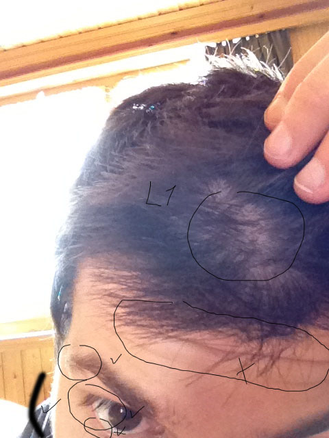 index.php/fa/11731/0/