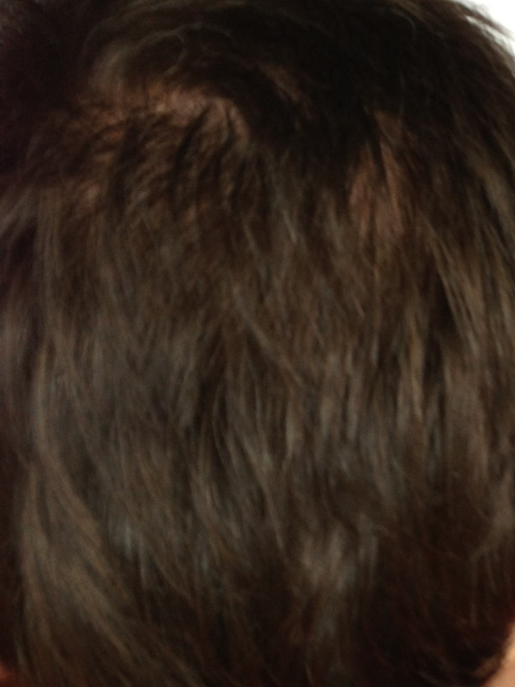 index.php/fa/11851/0/