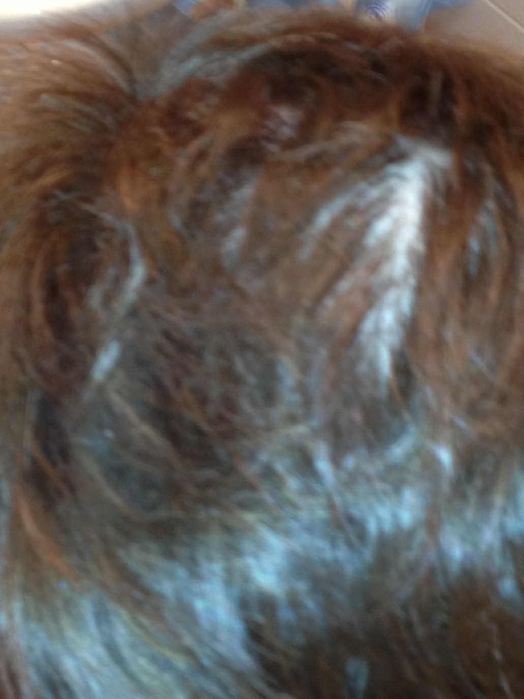 index.php/fa/11852/0/