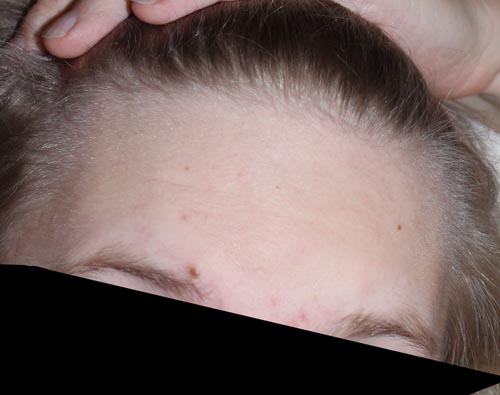 index.php/fa/11873/0/