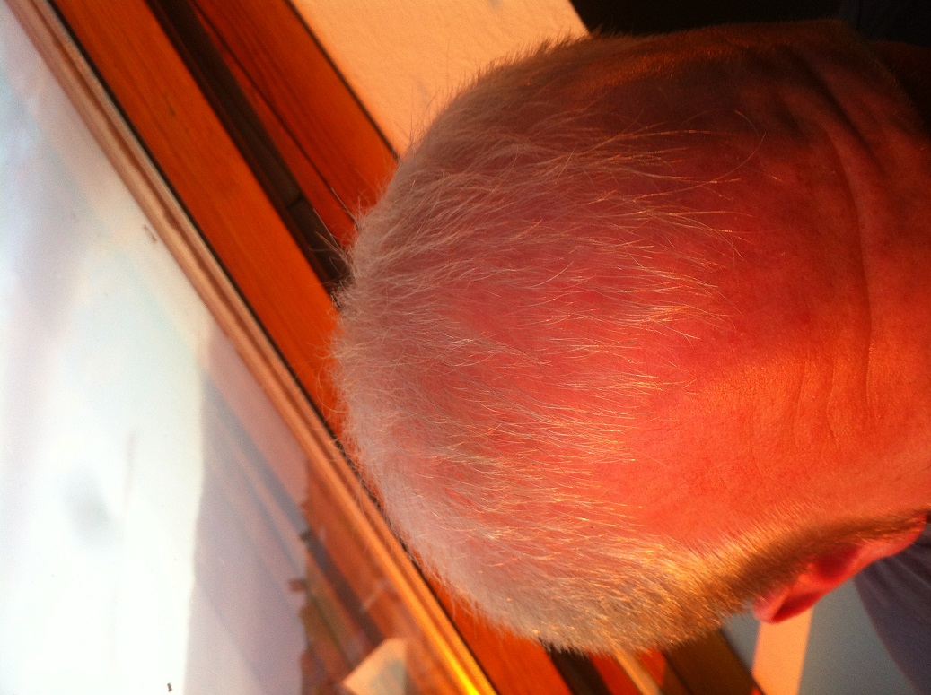 index.php/fa/11920/0/