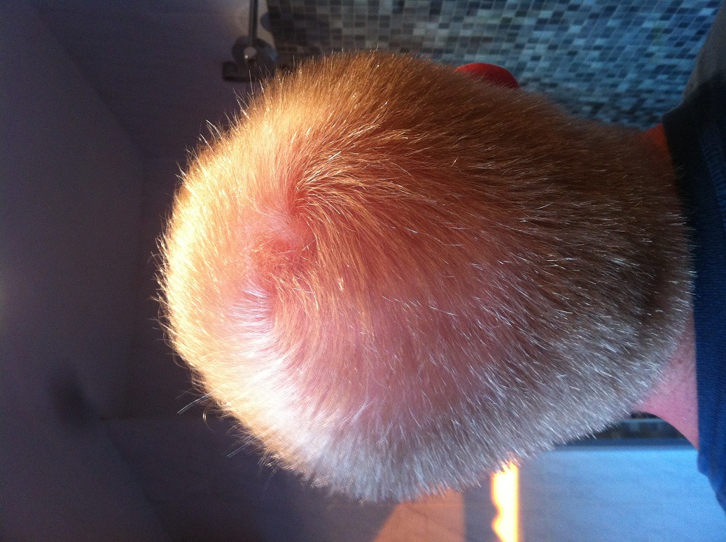 index.php/fa/11921/0/