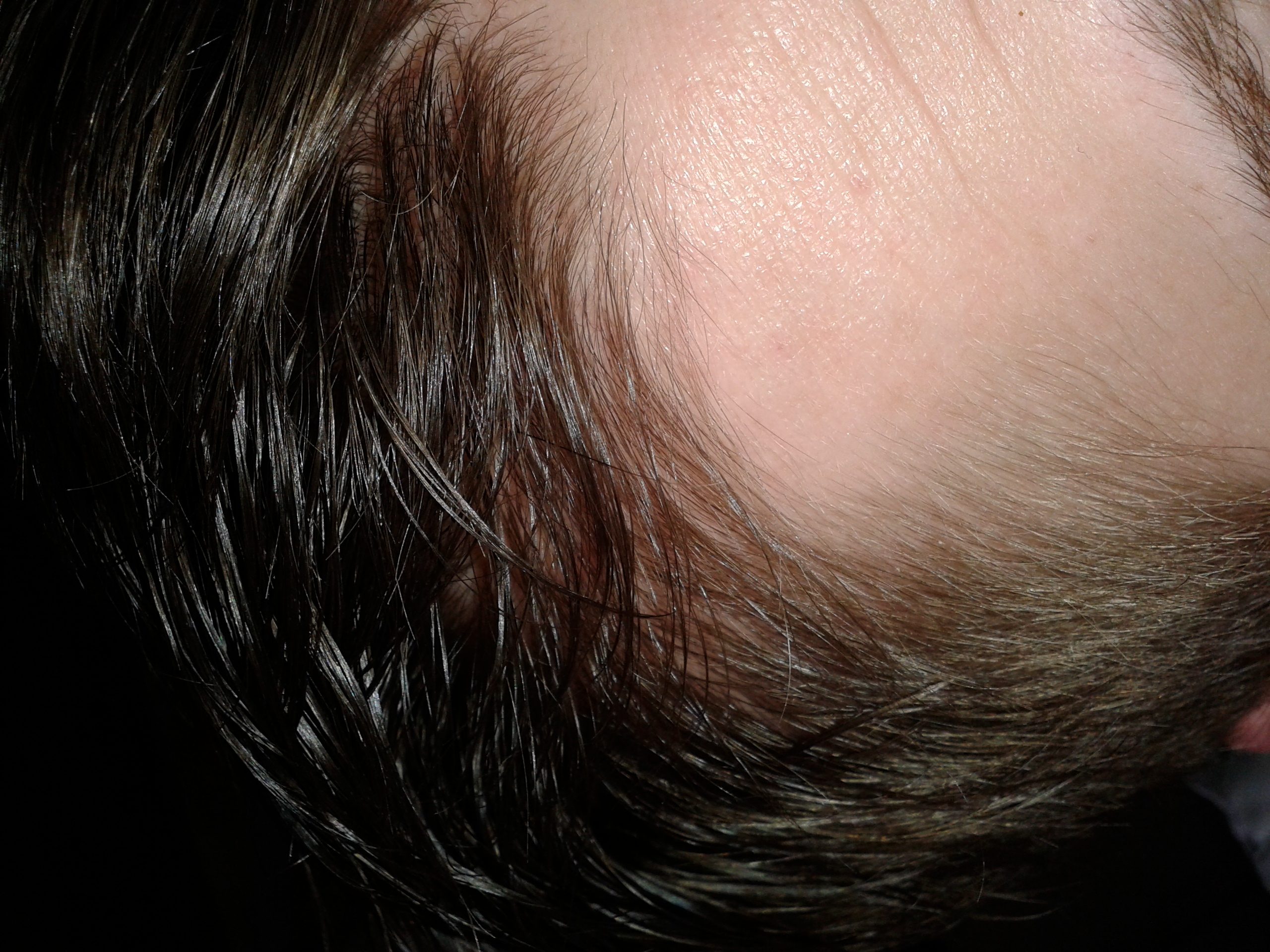 index.php/fa/12031/0/