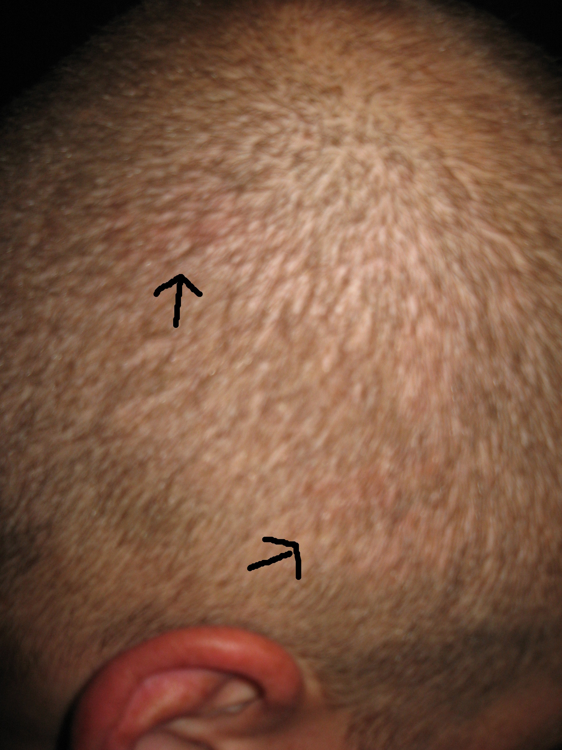 index.php/fa/12062/0/