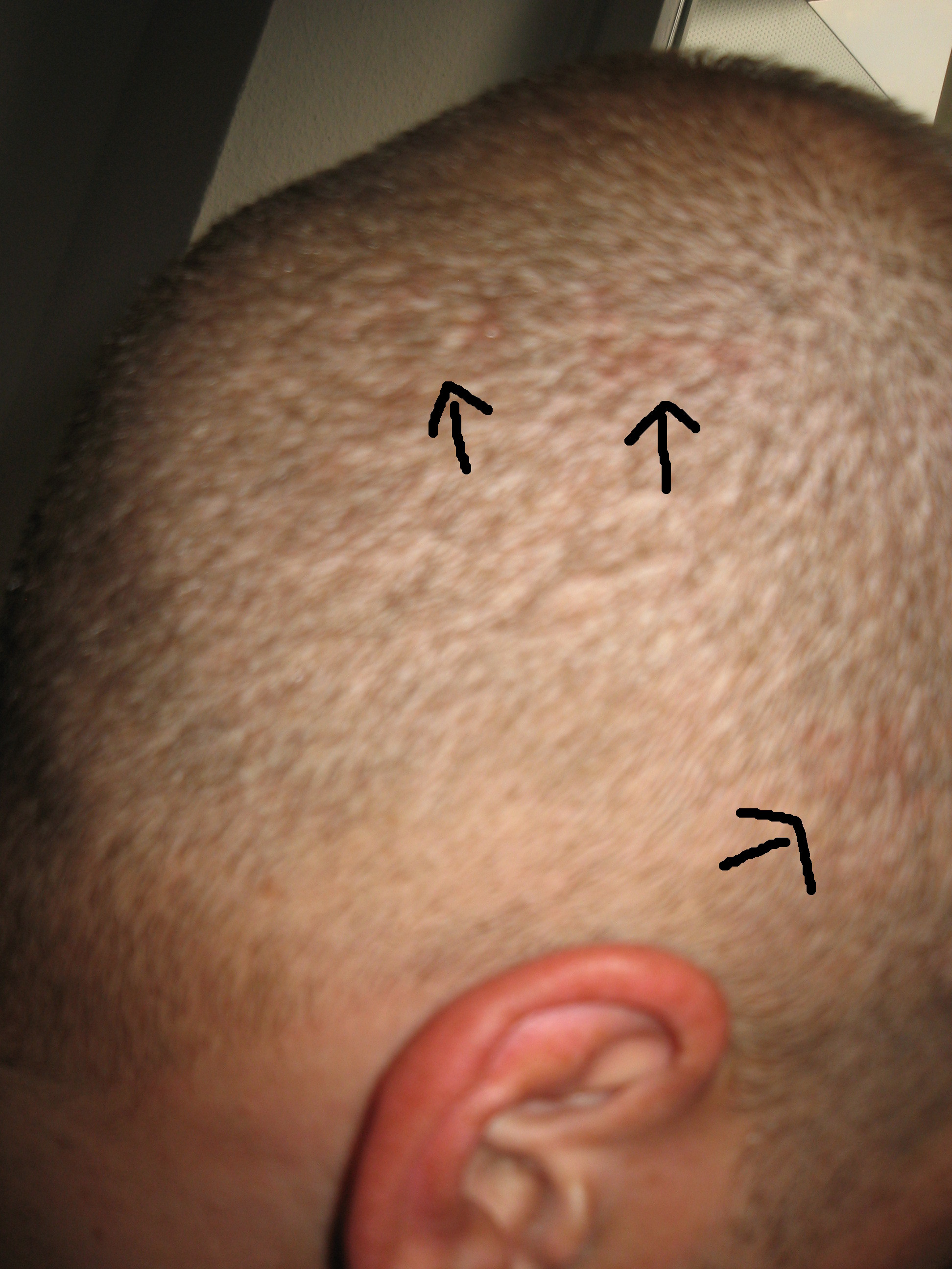 index.php/fa/12063/0/