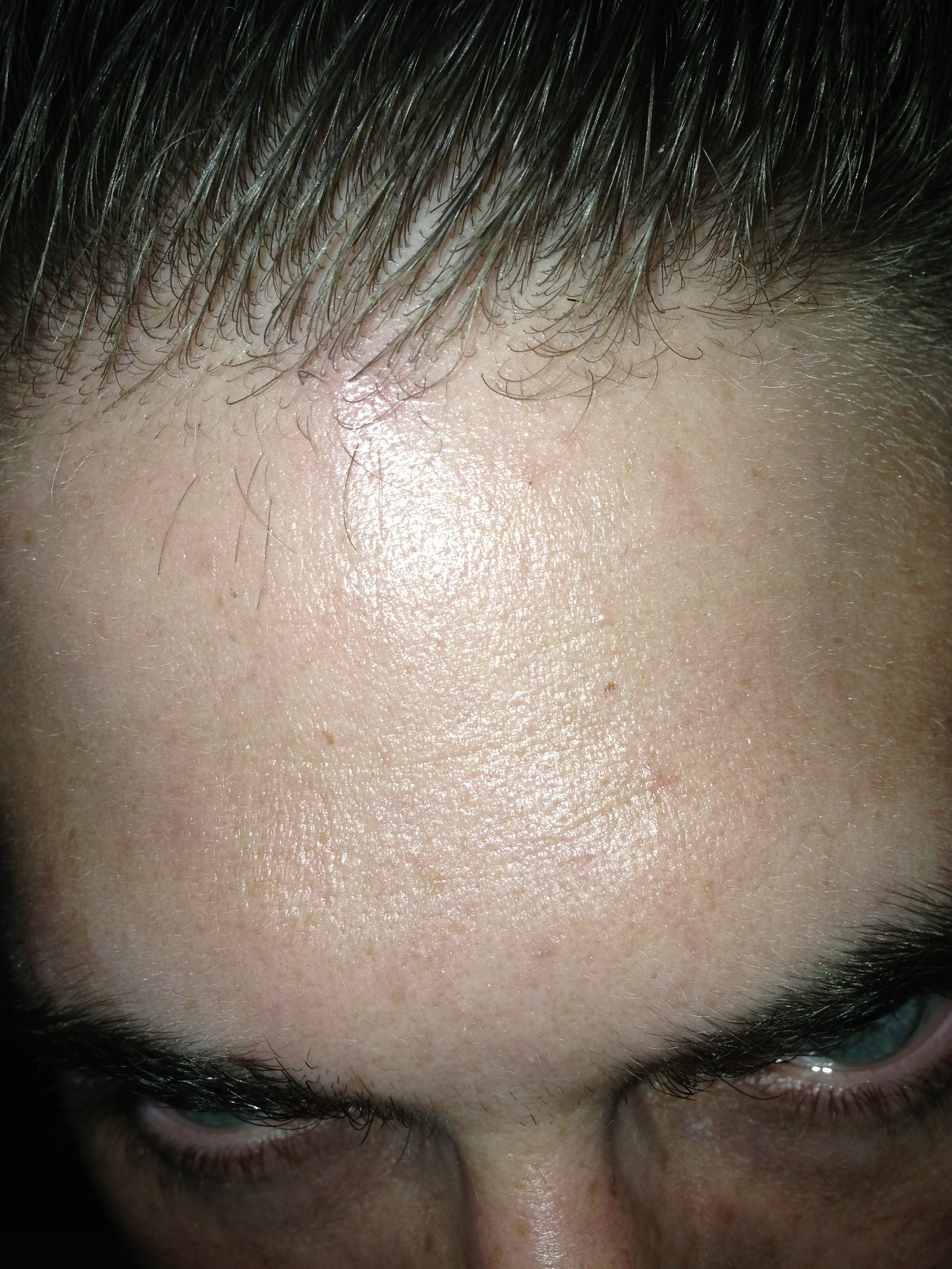 index.php/fa/12096/0/