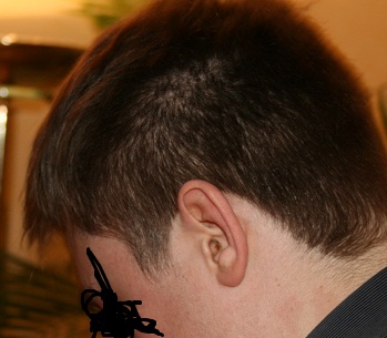 index.php/fa/12235/0/