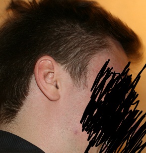 index.php/fa/12237/0/