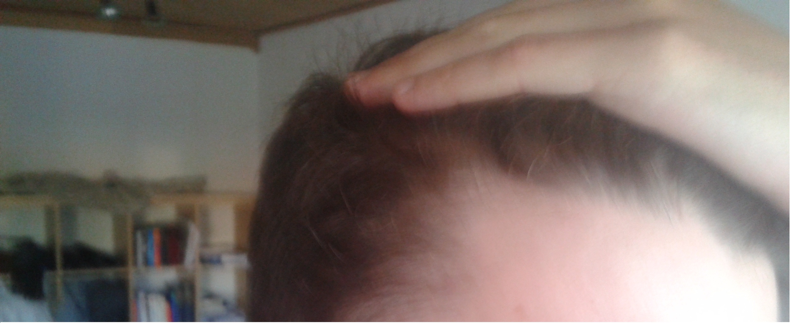 index.php/fa/12264/0/