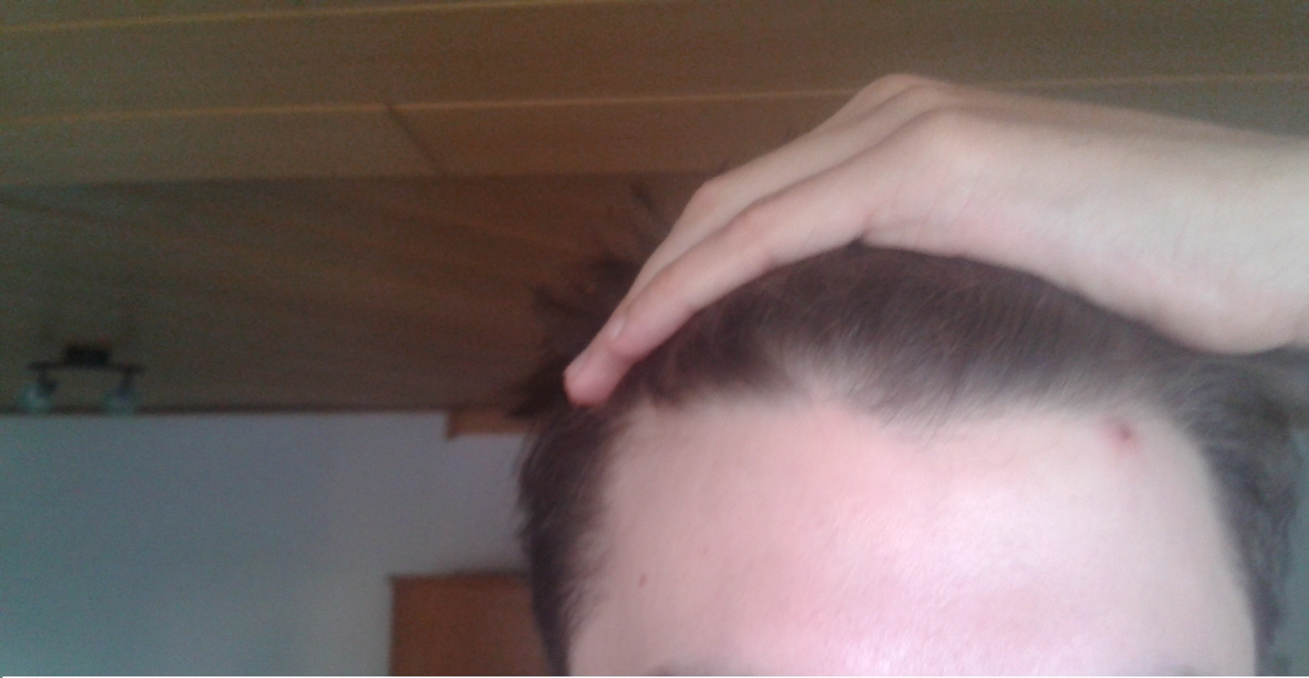 index.php/fa/12265/0/