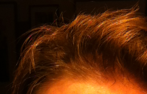 index.php/fa/12436/0/