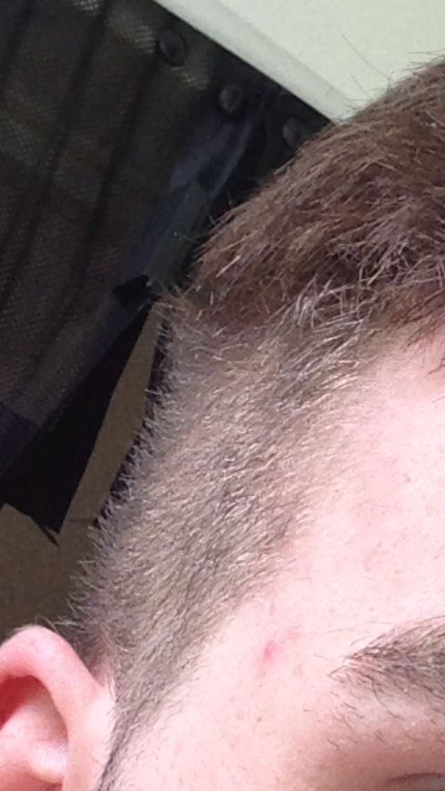 index.php/fa/12475/0/