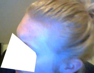 index.php/fa/12495/0/