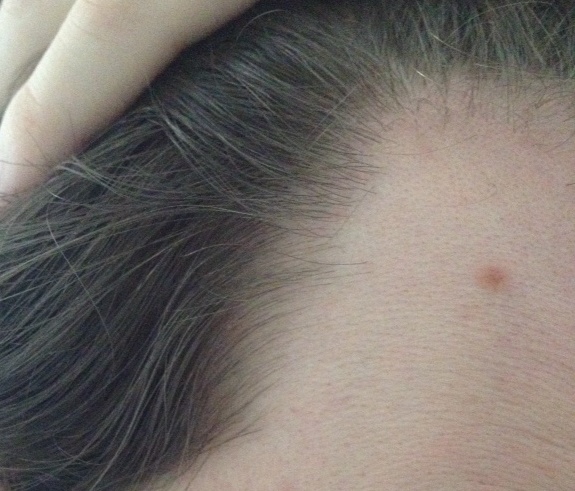 index.php/fa/12947/0/