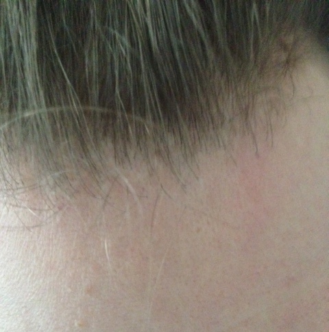 index.php/fa/12948/0/