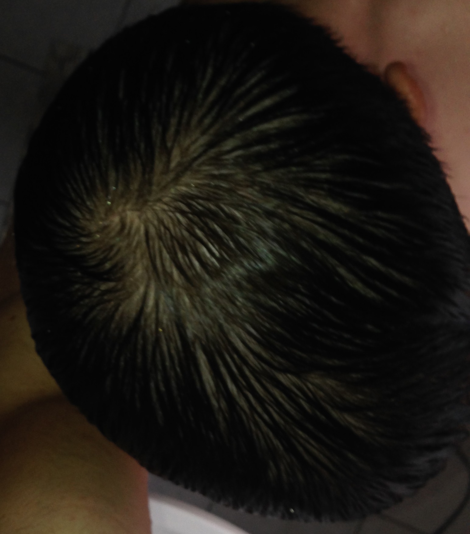 index.php/fa/13304/0/