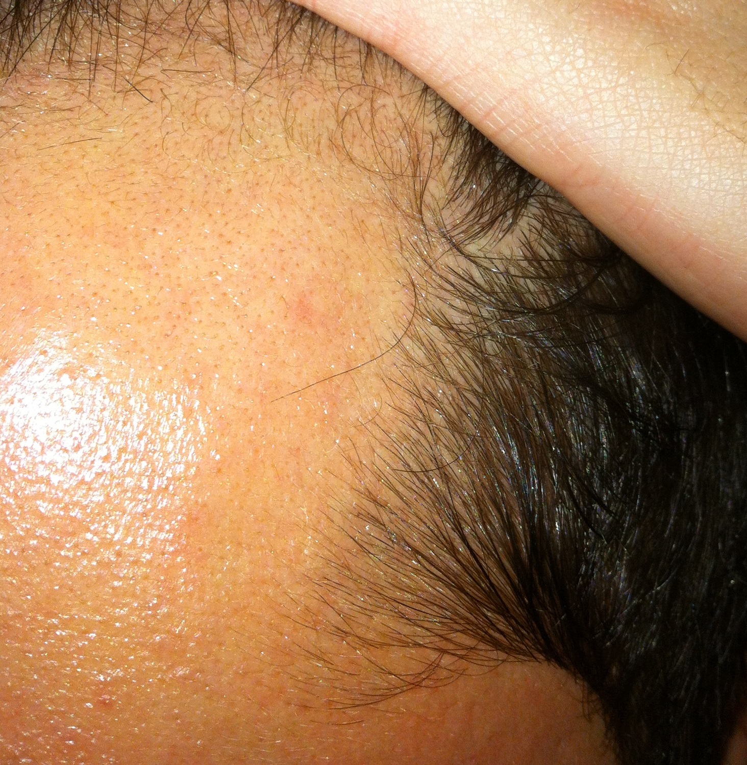 index.php/fa/13309/0/