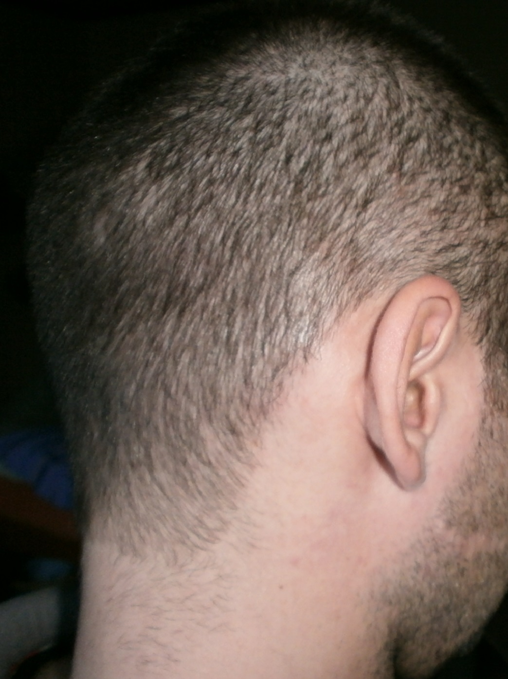 index.php/fa/13383/0/