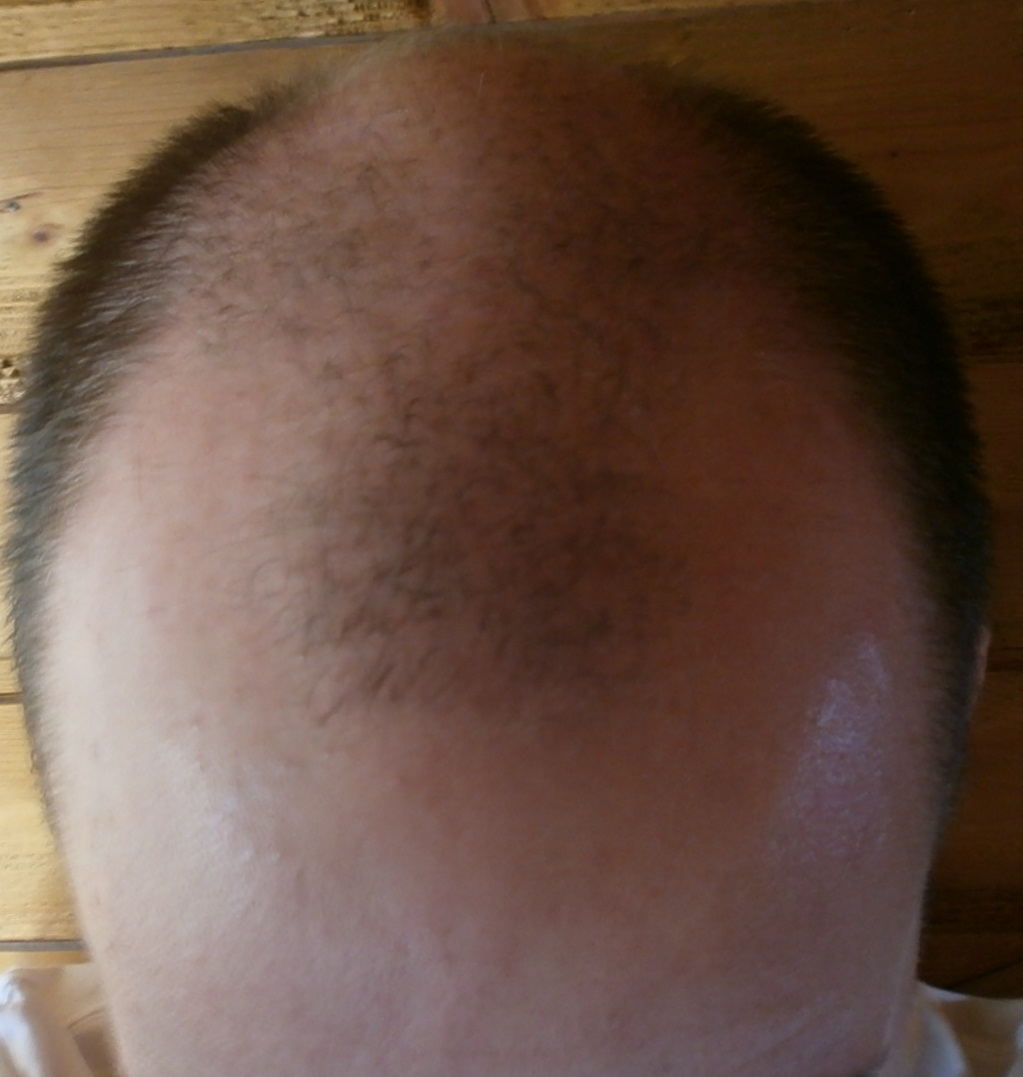 index.php/fa/13390/0/