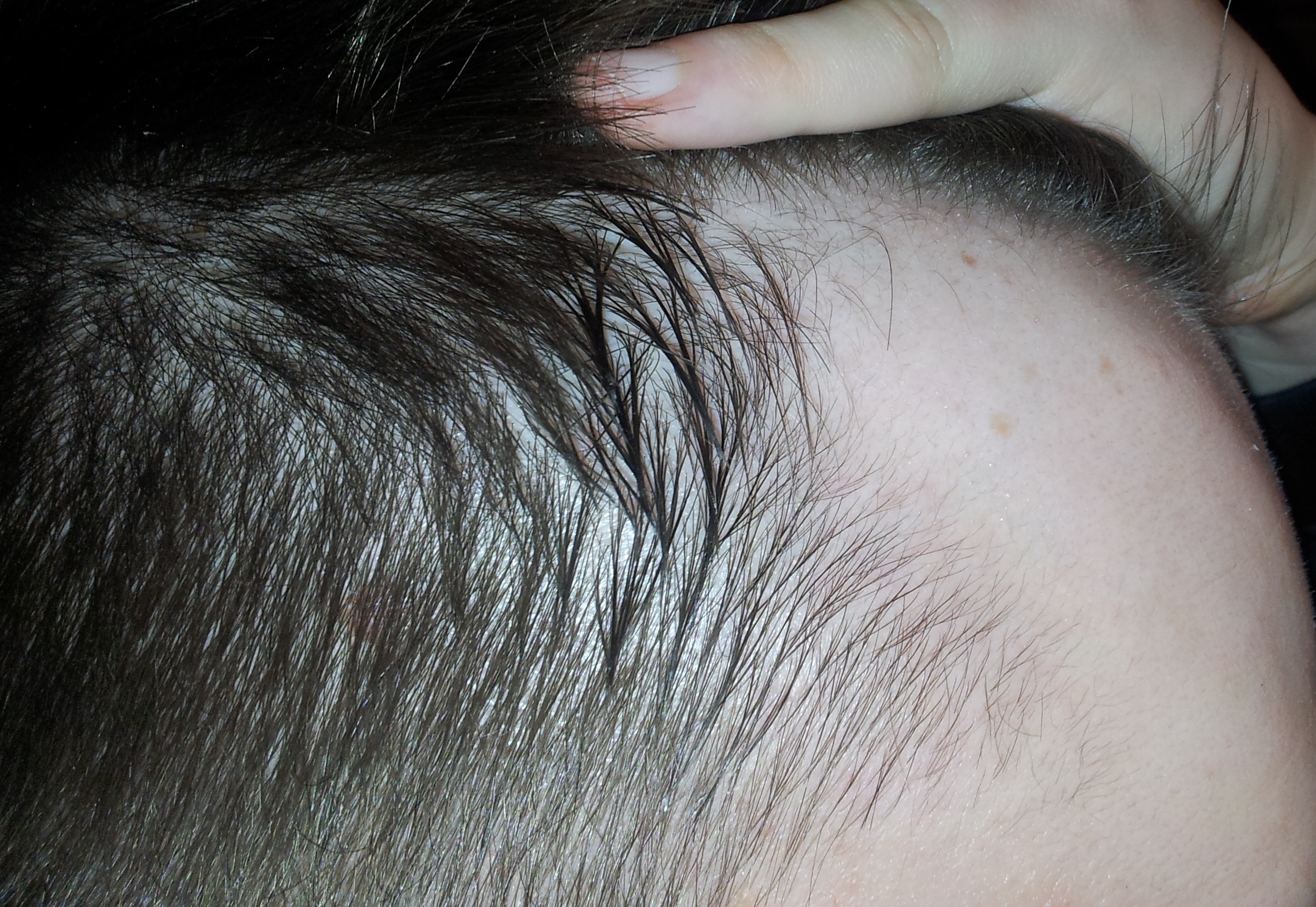 index.php/fa/13449/0/