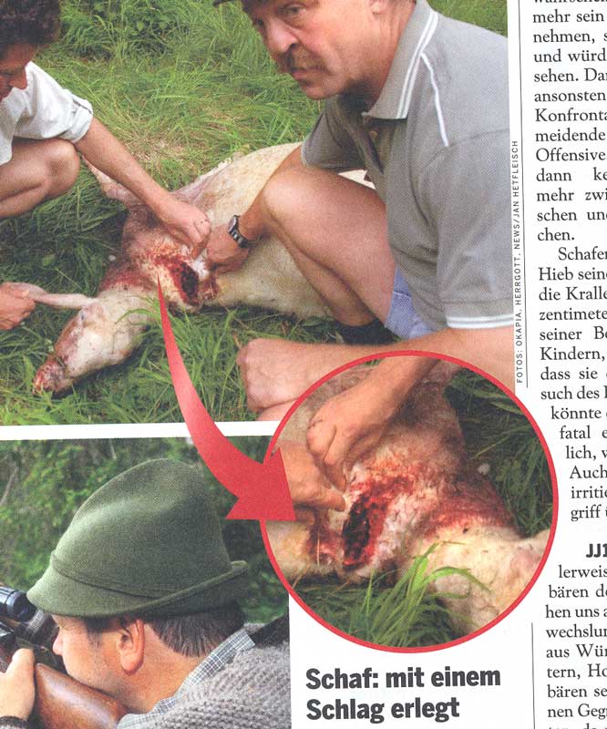 index.php/fa/1348/0/