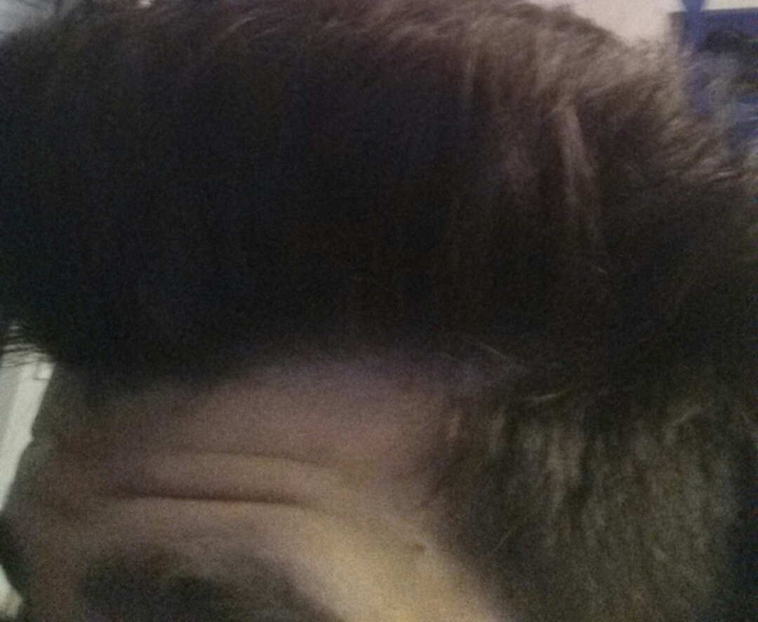 index.php/fa/13600/0/