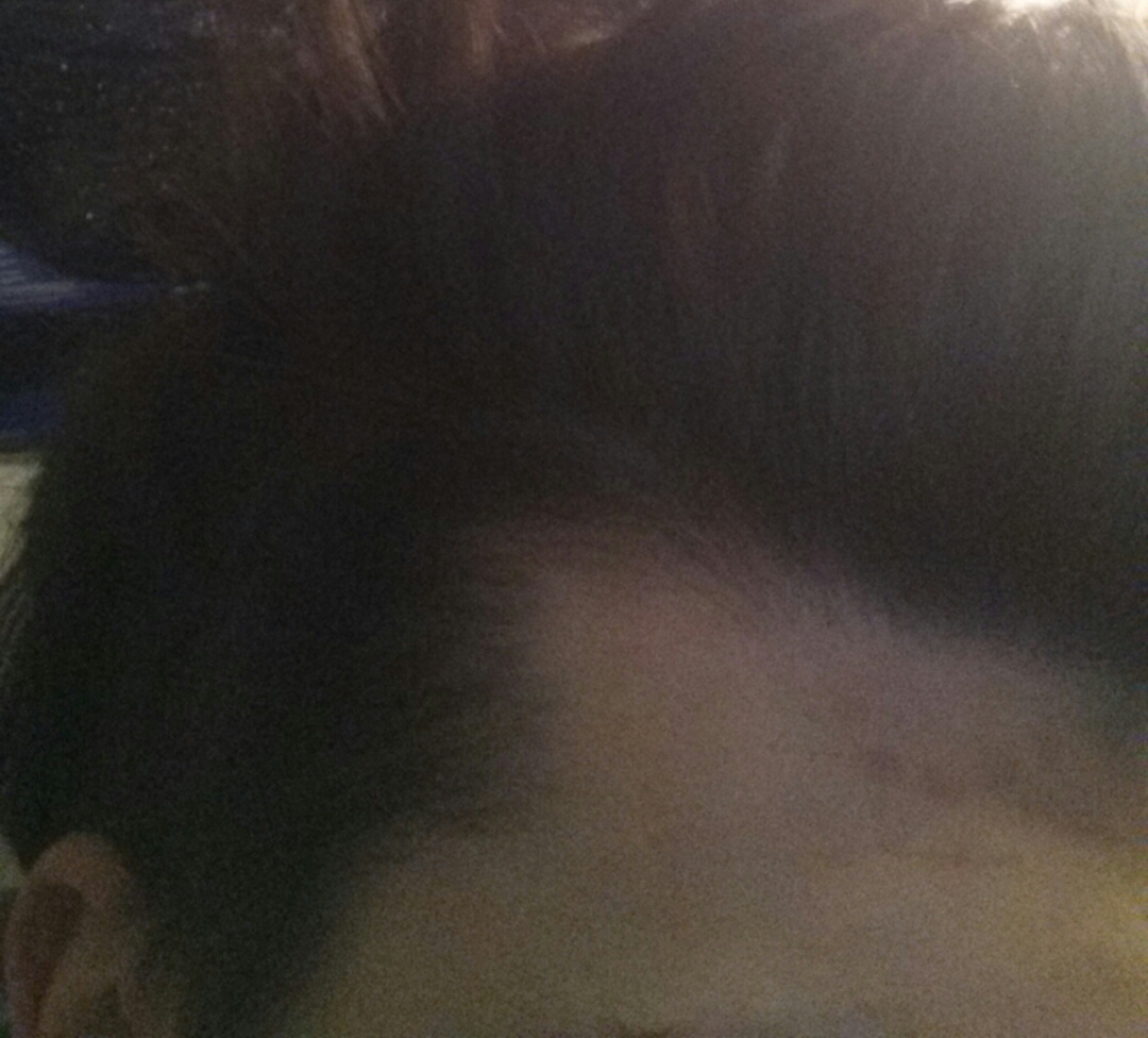 index.php/fa/13603/0/