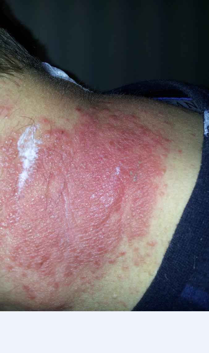 index.php/fa/13700/0/