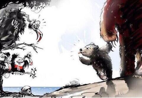 index.php/fa/14088/0/