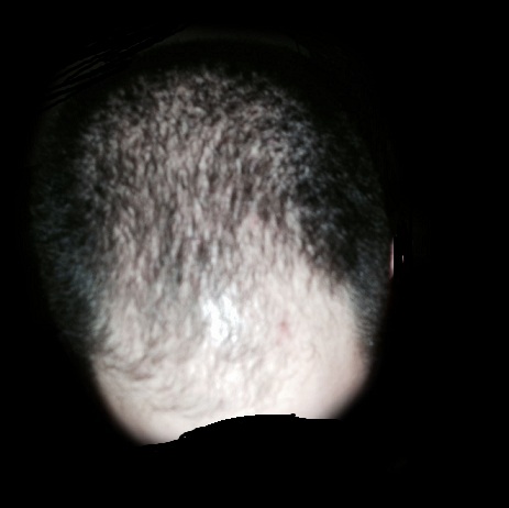 index.php/fa/14474/0/