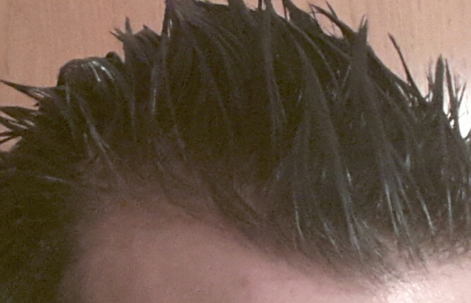 index.php/fa/14644/0/