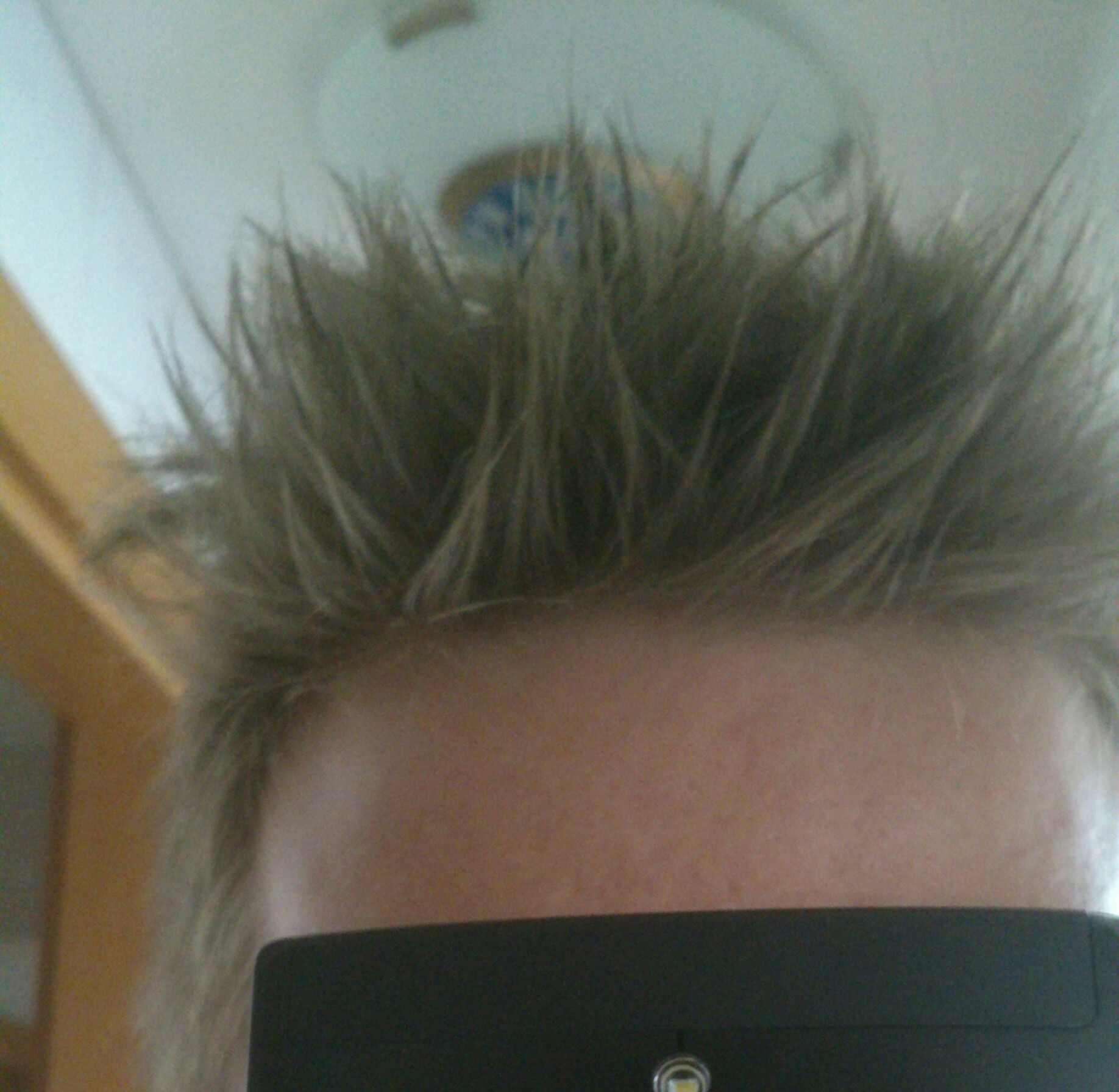 index.php/fa/16489/0/