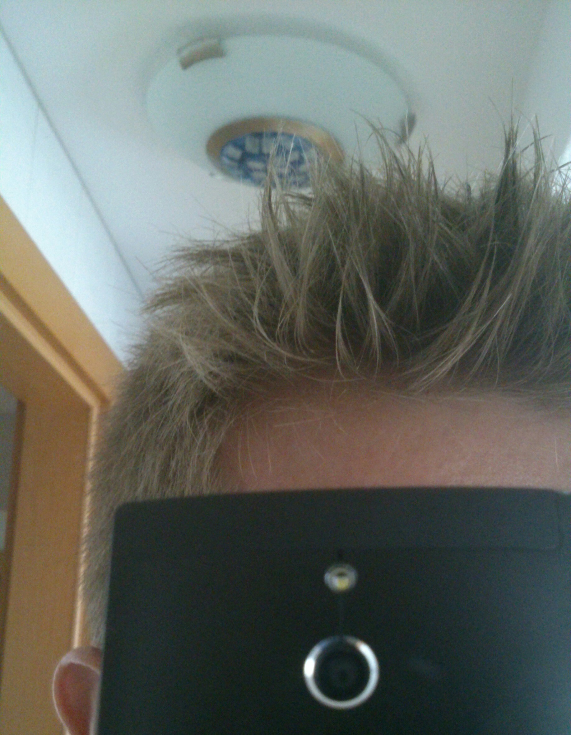 index.php/fa/16490/0/