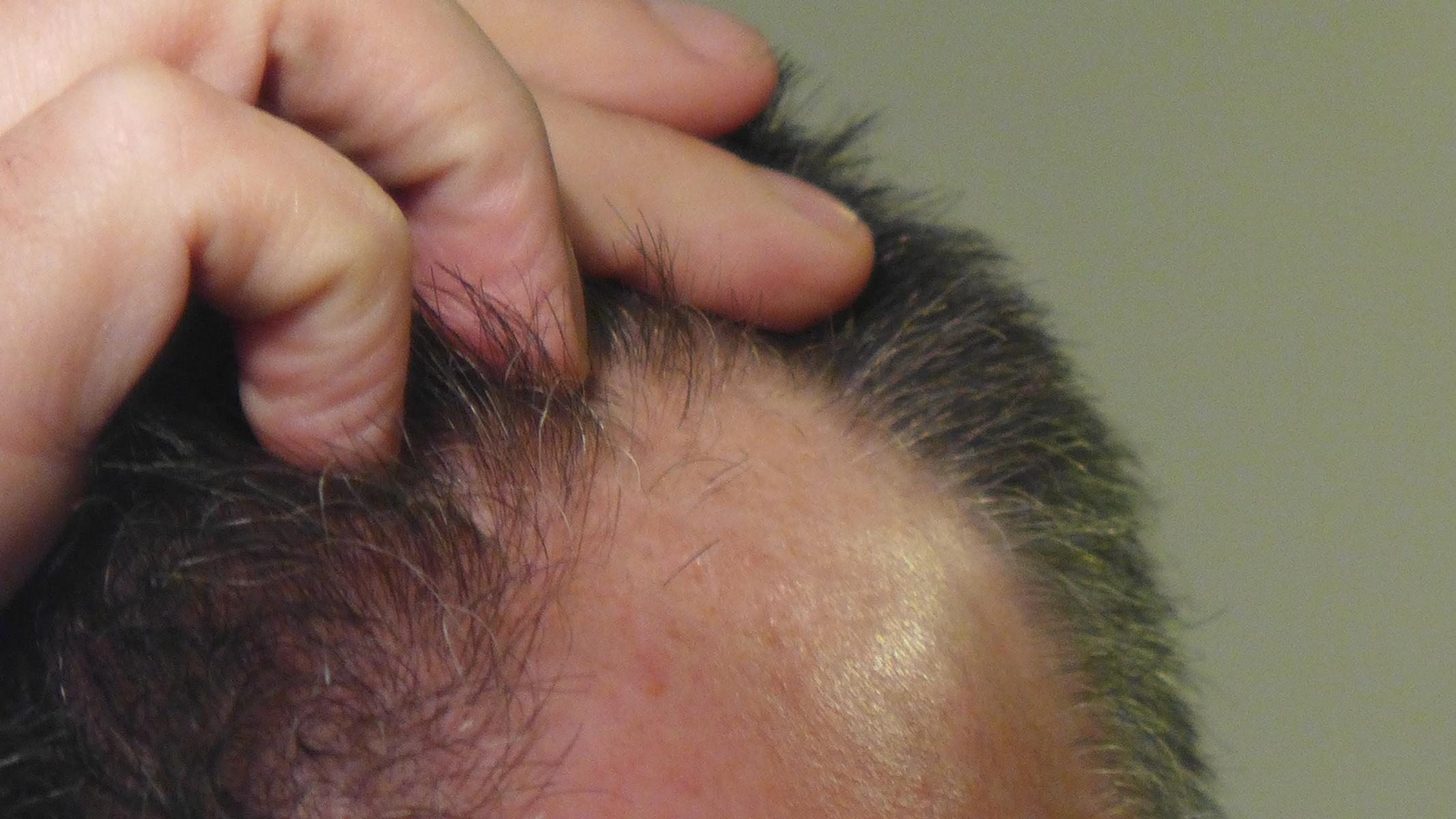 index.php/fa/17037/0/