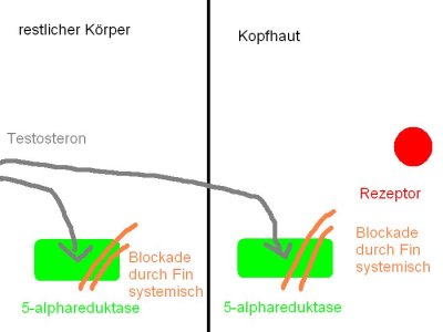 index.php/fa/1724/0/