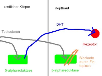 index.php/fa/1725/0/
