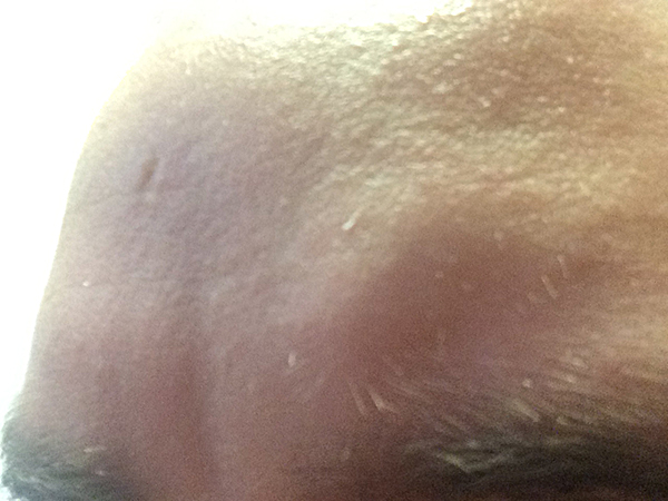 index.php/fa/17351/0/