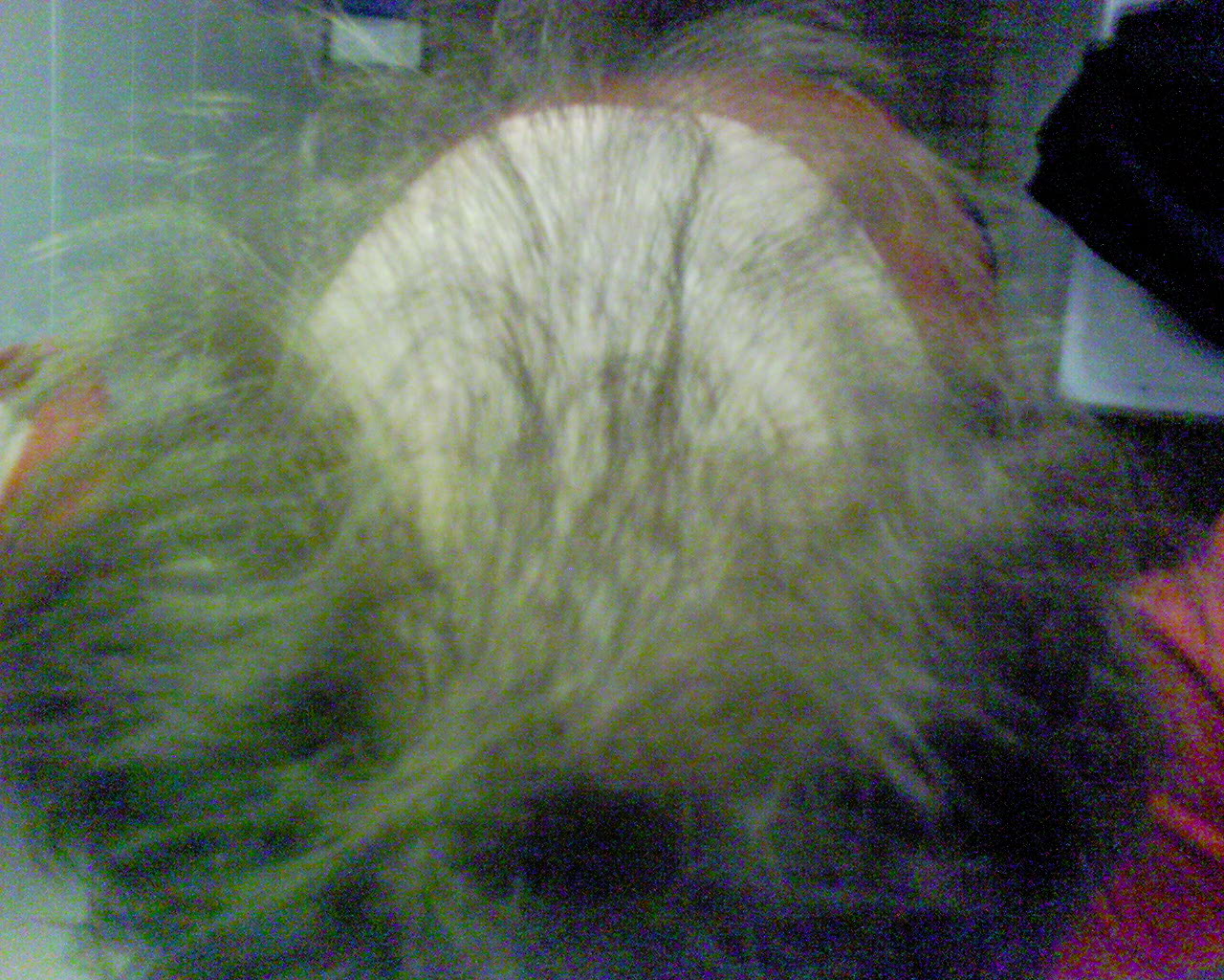 index.php/fa/1765/0/