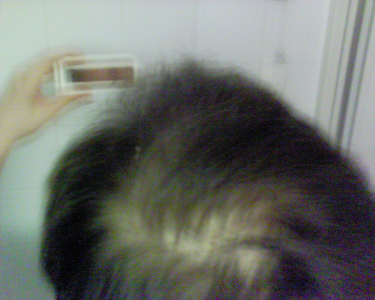 index.php/fa/1766/0/