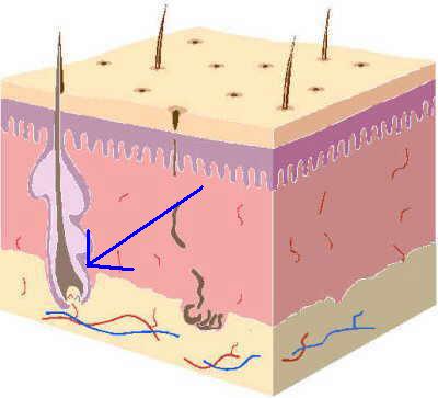 index.php/fa/1770/0/