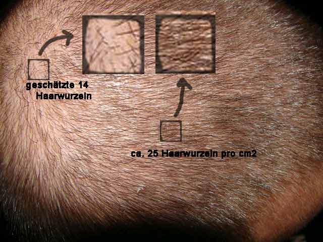 index.php/fa/1792/0/