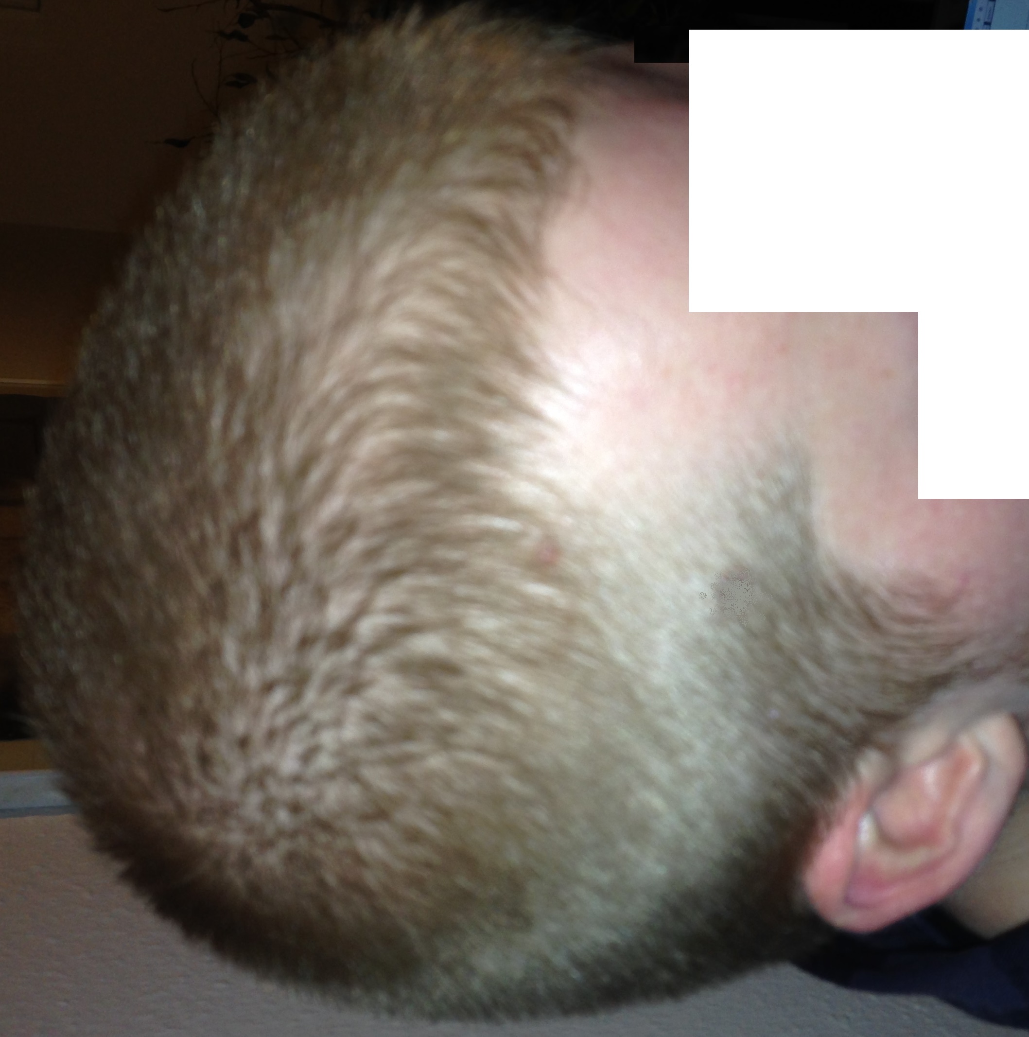 index.php/fa/18139/0/