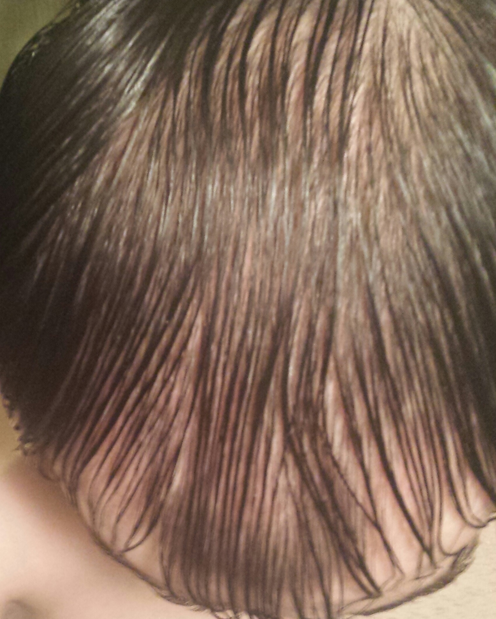 index.php/fa/18181/0/