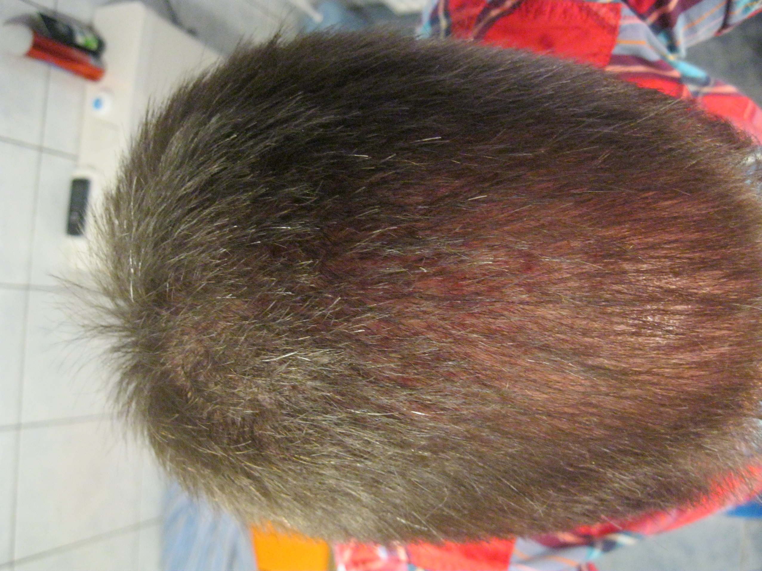 index.php/fa/18274/0/